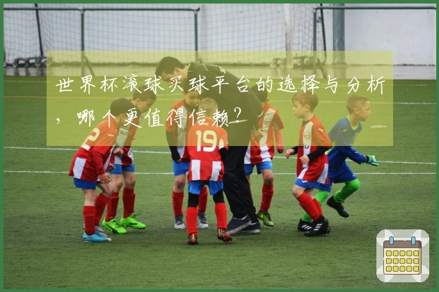 世界杯滚球买球平台的选择与分析，哪个更值得信赖？