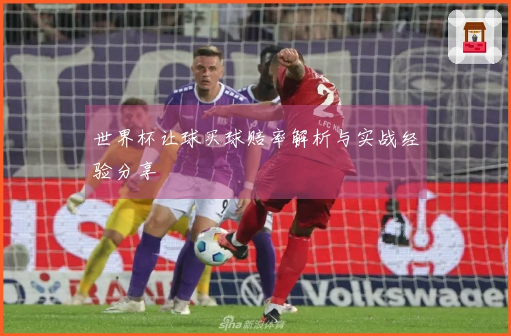 世界杯让球买球赔率解析与实战经验分享