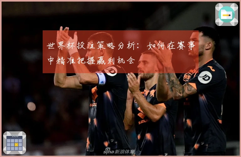 世界杯投注策略分析：如何在赛事中精准把握赢利机会