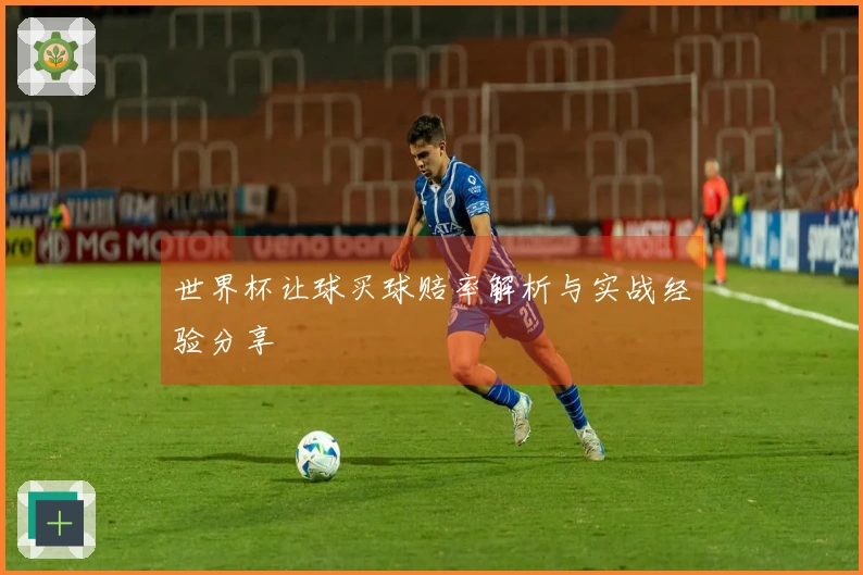 世界杯让球买球赔率解析与实战经验分享