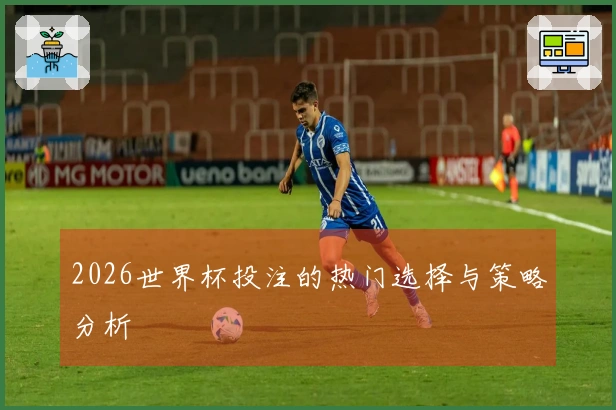 2026世界杯投注的热门选择与策略分析