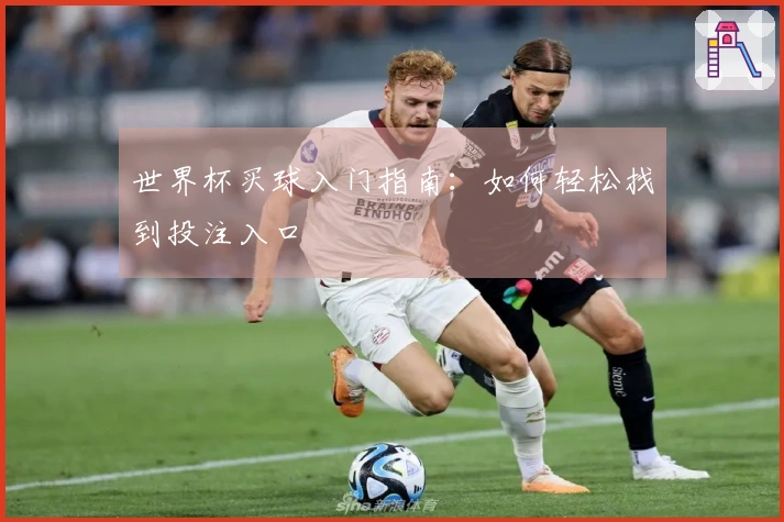 世界杯买球入门指南：如何轻松找到投注入口