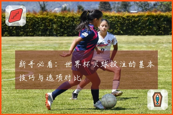 新手必看：世界杯买球投注的基本技巧与选项对比