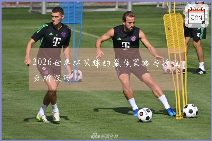 2026世界杯买球的最佳策略与投注分析技巧