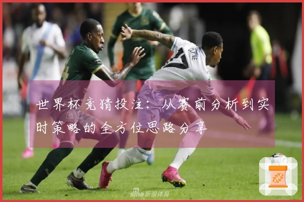 世界杯竞猜投注：从赛前分析到实时策略的全方位思路分享