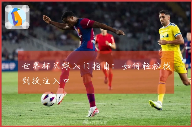 世界杯买球入门指南：如何轻松找到投注入口