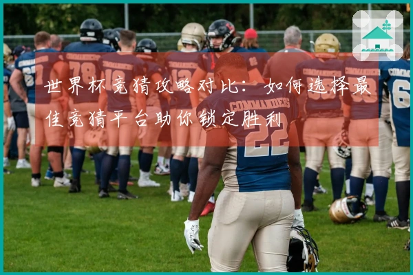 世界杯竞猜攻略对比：如何选择最佳竞猜平台助你锁定胜利