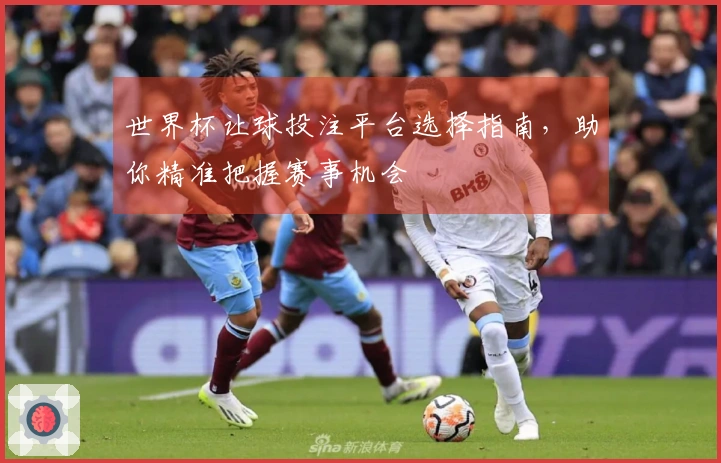 世界杯让球投注平台选择指南，助你精准把握赛事机会