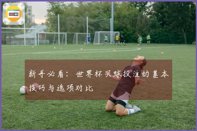 新手必看：世界杯买球投注的基本技巧与选项对比