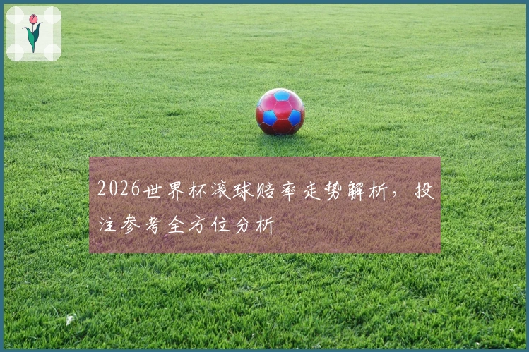 2026世界杯滚球赔率走势解析，投注参考全方位分析
