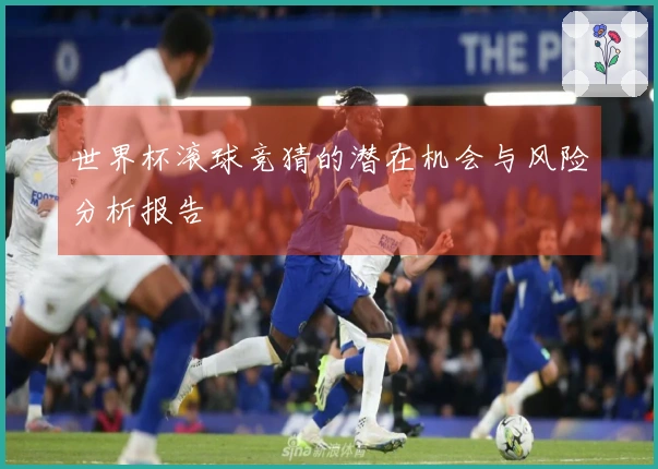 世界杯滚球竞猜的潜在机会与风险分析报告