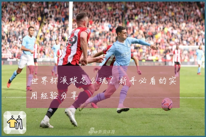 世界杯滚球怎么玩？新手必看的实用经验分享